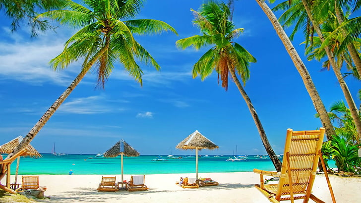 tropics, caribbean, vacation, resort, leisure, palm tree, sea, sky, blue sky, tourism, shore, beach, ocean, palm, palms, HD wallpaper