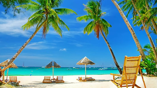 tropics, caribbean, vacation, resort, leisure, palm tree, sea, sky, blue sky, tourism, shore, beach, ocean, palm, palms, HD wallpaper HD wallpaper