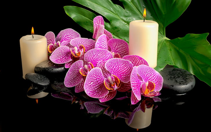 Spa velas y orquídeas, hojas, flores, orquídeas, piedras de spa, velas, gotas, Fondo de pantalla HD