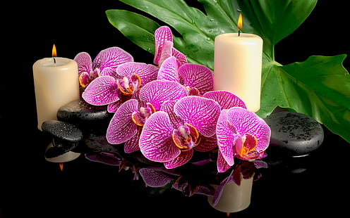 Świece spa i orchidea, liść, kwiat, orchidea, kamienie Spa, świece, krople, Tapety HD HD wallpaper