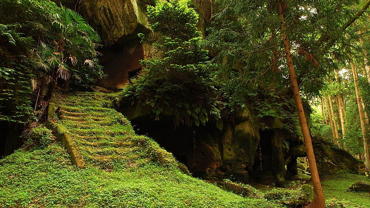 foto delle caverne durante il giorno, ricoperte di vegetazione, scale, Sfondo HD