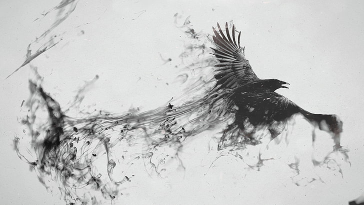 черен гарван с произведения на изкуството, гарван, птица, летящ, дим, черно бял, HD тапет