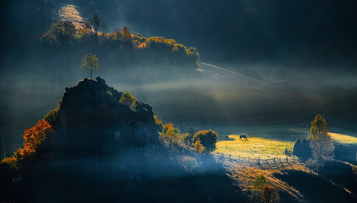 målning av berg, fält, Rumänien, natur, träd, kullar, landskap, morgon, dimma, HD tapet