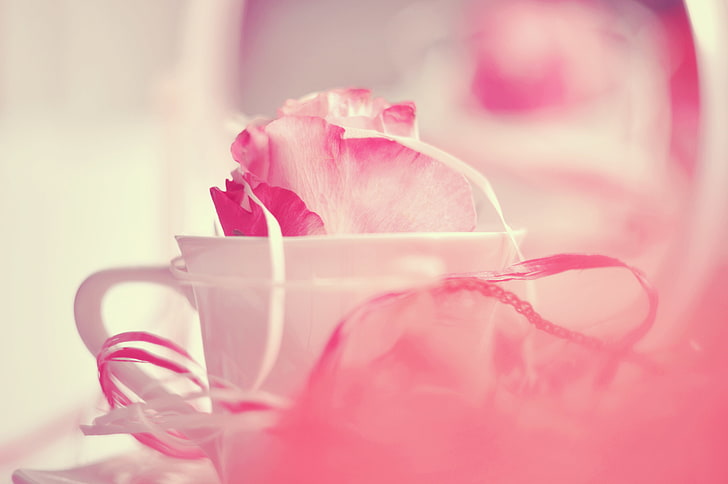 petals, mug, Cup, HD wallpaper