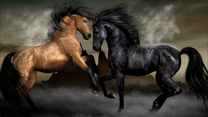 Хорошая Лошадь против Злой Лошади, лошади, коричневые лошади, аннотация, боевые действия лошадей, черные лошади, животные, HD обои