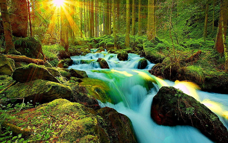 Earth, Stream, Forest, Green, Rock, Sun, Sunshine, Waterfall, HD wallpaper