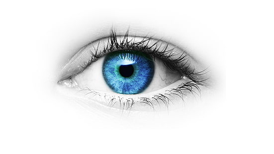 blaues Auge, Augen, blaue Augen, HD-Hintergrundbild HD wallpaper