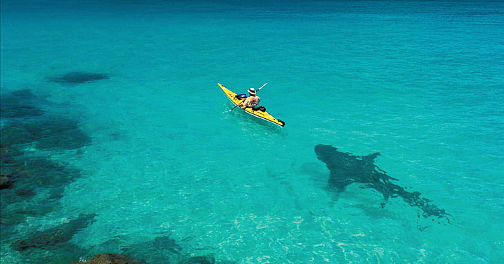 желтый каяк, лодка, акула, упс, HD обои