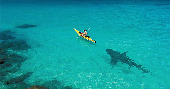 жълт каяк, лодка, акула, упс, HD тапет HD wallpaper