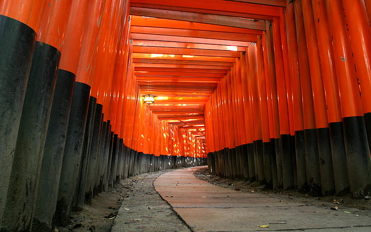 merah, pohon, hitam, Jepang, kuil, Shinto, Wallpaper HD