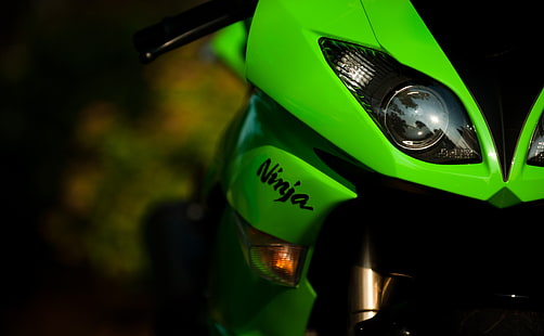 Kawasaki Ninja, зелена Kawasaki Ninja, мотоциклети, Kawasaki, HD тапет HD wallpaper