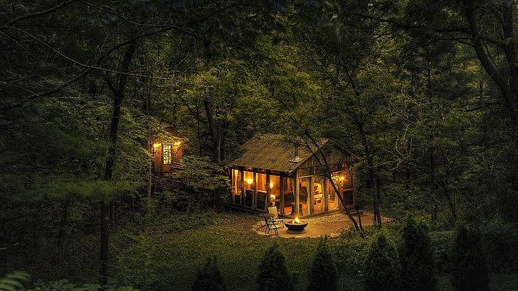 Cabaña en el bosque en la noche, edificio, maderas, noche, cabaña, árboles, Fondo de pantalla HD