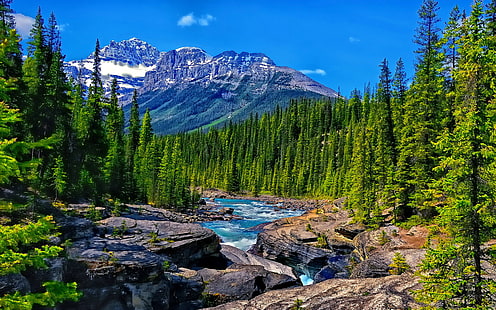 Alberta Canada Banff National Park Mistaya River And Canyon Peaks Stones Skrivbordsunderlägg Hd för din dator 2560 × 1600, HD tapet HD wallpaper
