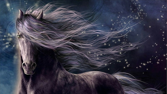 conte de fées, cheval noir, magnifique, étonnant, magnifique, personnage fictif, ciel, art fantastique, œuvres d'art, cheval, ciel étoilé, créature mythique, obscurité, artistique, art, nuit étoilée, étoiles, crinière, Fond d'écran HD HD wallpaper