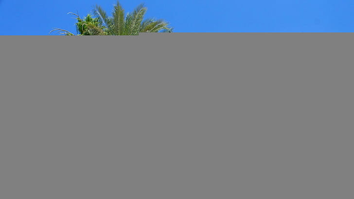 Wundervoller Pool in einem Resort, Leuchtturm, Palmen, Resort, Pool, Natur und Landschaften, HD-Hintergrundbild