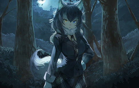 Anime, Kemono Friends, Grey Wolf (Kemono Friends), Heterochromia, HD wallpaper HD wallpaper