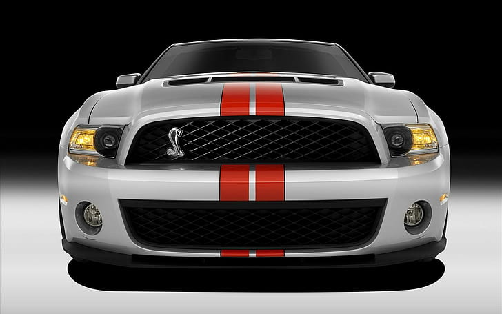 2011 Ford Shelby GT500 2, Ford, Shelby, GT500, 2011, Fond d'écran HD