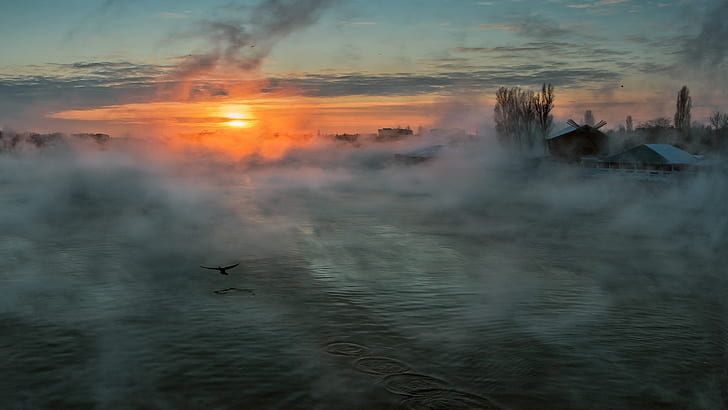 birds, fog, lakes, morning, river, sun, sunrise, sunset, HD wallpaper