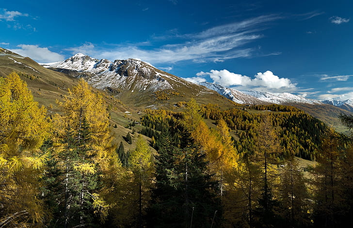 autumn, trees, mountains, Austria, Alps, Salzburg, Zell am see, HD wallpaper
