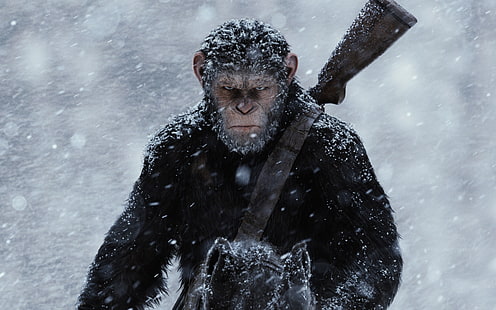 Badass Цезар Война за планетата на, Възходът на маймуните Цезар, Филми, Холивудски филми, Холивуд, маймуна, HD тапет HD wallpaper