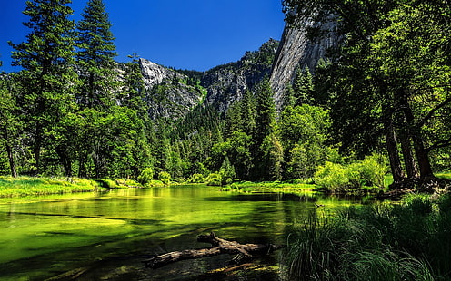 Parc national de Yosemite, Californie, États-Unis, lac, arbres verts, montagne, lac vert près de la montagne, Yosemite, parc national, Californie, États-Unis, lac, vert, arbres, Montagne, Fond d'écran HD HD wallpaper