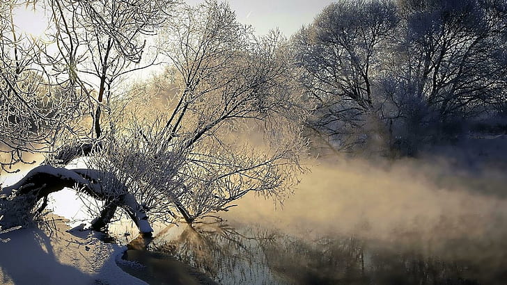 hoarfrost, river, mist, tree, ice, cold, evaporation, dawn, morning, winter, sunlight, nature photography, photography, nature, HD wallpaper
