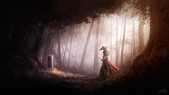 الخيال ، الساموراي ، الغابة ، القبر ، شعاع الشمس ، المحارب، خلفية HD HD wallpaper