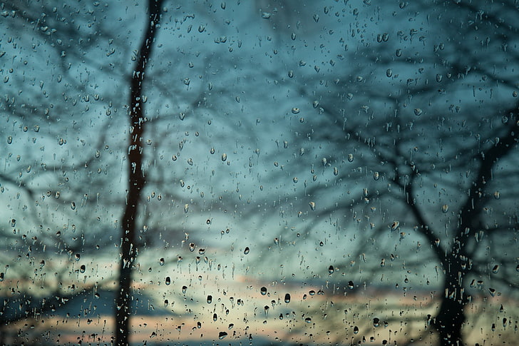 krople wody, okno, drzewa, deszcz, Tapety HD