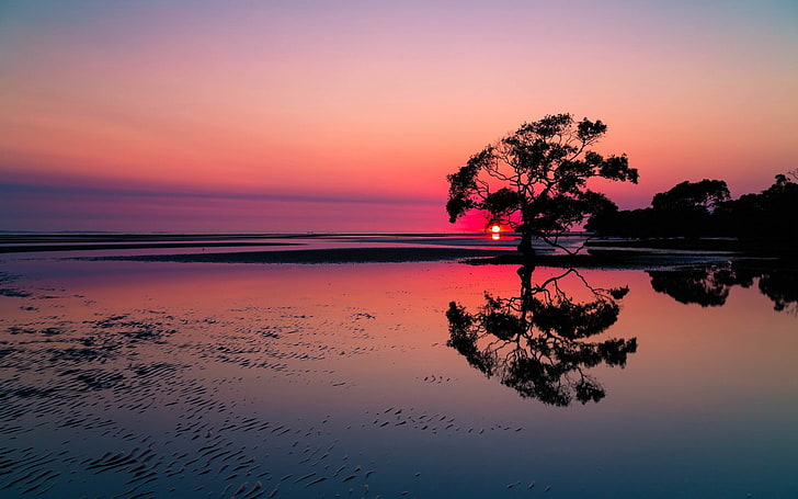 Purple Sunset Reflection, Nature, Scenery, HD wallpaper