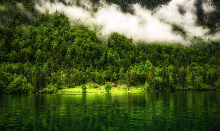 природа, пейзаж, Германия, езеро, отражение, дървета, мъгла, гора, планини, HD тапет