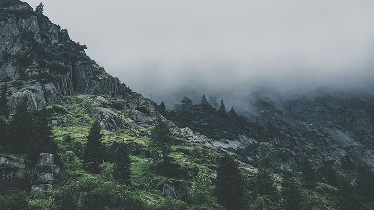 reliefs montagneux, montagne, arbre, nuage, vallée, brumeux, brouillard, Fond d'écran HD