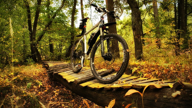 gray and black hardtail bike, bicycle, nature, HD wallpaper