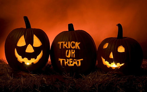 Liburan, Halloween, Jack-o'-lantern, Pumpkin, Trick Or Treat, Wallpaper HD HD wallpaper