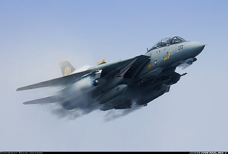 grauer Düsenjäger, Düsenjäger, Grumman F-14 Tomcat, HD-Hintergrundbild HD wallpaper