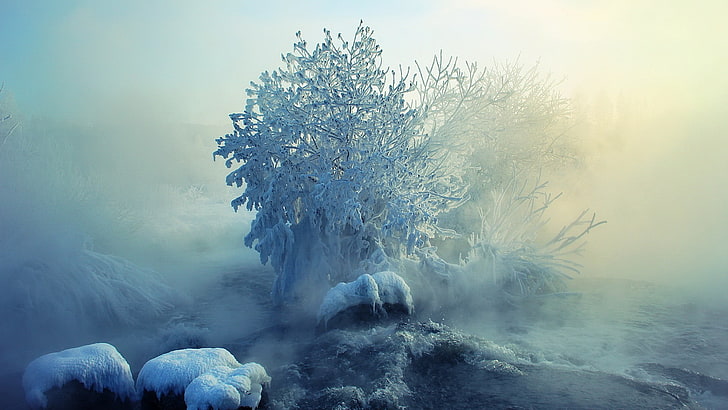 grünblättriges Baumgemälde, Winter, Landschaft, Eis, Schnee, Natur, Fluss, Nebel, Frost, Cyan, Türkis, Blau, HD-Hintergrundbild