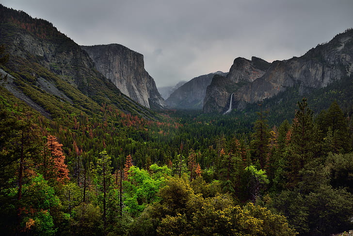 landscape photo of mountain and forest, yosemite national park, yosemite national park, Valley, Trees, Mountain Peaks, All Around, Yosemite National Park, landscape, photo, forest, 3000 Feet High, Granite, Monolith, Meter, Bridalveil Fall, Canvas, Capture, NX2, Edited, Cathedral Rocks, Central, Yosemite, Sierra, Color, Pro  Day, El Capitan, Falls, Half Dome, Hillside, Looking East, Mountains, Distance, Nature, Nikon D800E, Overcast, Pacific Ranges, Portfolio, Sierra Nevada, kon, oo, lah, Trip, Paso Robles, Tunnel View, Union Point, Waterfall, Yosemite Valley, ft, metres, Ahwahneechee, Spirit, Puffing, Wind, CA, United States, mountain, scenics, outdoors, tree, autumn, rock - Object, mountain Peak, beauty In Nature, HD wallpaper
