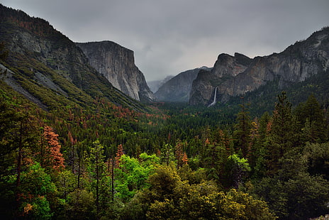 landscape photo of mountain and forest, yosemite national park, yosemite national park, Valley, Trees, Mountain Peaks, All Around, Yosemite National Park, landscape, photo, forest, 3000 Feet High, Granite, Monolith, Meter, Bridalveil Fall, Canvas, Capture, NX2, Edited, Cathedral Rocks, Central, Yosemite, Sierra, Color, Pro  Day, El Capitan, Falls, Half Dome, Hillside, Looking East, Mountains, Distance, Nature, Nikon D800E, Overcast, Pacific Ranges, Portfolio, Sierra Nevada, kon, oo, lah, Trip, Paso Robles, Tunnel View, Union Point, Waterfall, Yosemite Valley, ft, metres, Ahwahneechee, Spirit, Puffing, Wind, CA, United States, mountain, scenics, outdoors, tree, autumn, rock - Object, mountain Peak, beauty In Nature, HD wallpaper HD wallpaper