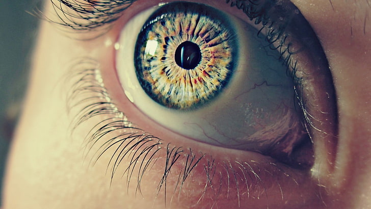 olho humano esquerdo, closeup vista do olho azul da pessoa, olhos, macro, HD papel de parede
