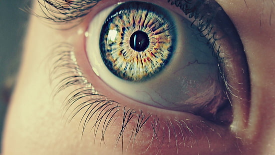 العين اليسرى ، منظر مقرب للعين الزرقاء ، العيون ، الماكرو، خلفية HD HD wallpaper