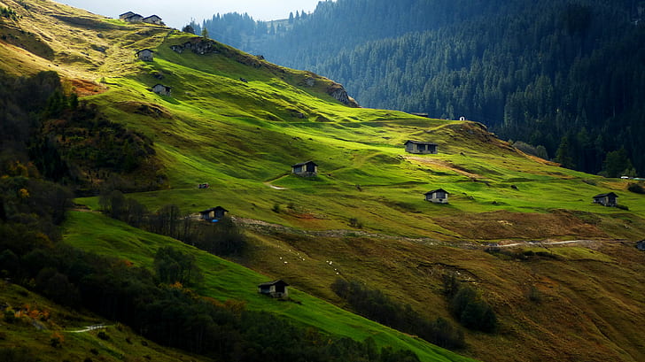 mountain with green grasses and houses, Verde, Alpe, mountain, green, grasses, houses, graubunden, ladera, slope, canton, switzerland, schwitzerland, suisse, svizzera, vals, Schweiz, WOW, विट, nature, landscape, meadow, scenics, hill, green Color, grass, outdoors, europe, summer, HD wallpaper