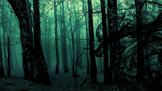 forest, green, trees, dark, nature, spooky, digital art, HD wallpaper HD wallpaper