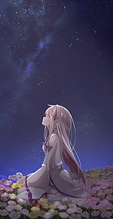 stjärnor, Emilia (Re: Zero), Re: Zero Kara Hajimeru Isekai Seikatsu, porträttvisning, spetsiga öron, landskap, HD tapet HD wallpaper