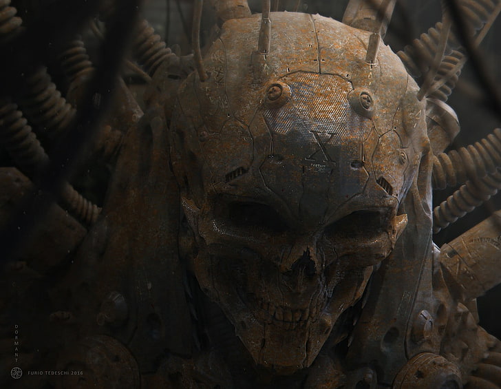 brown skull, CGI, skull, HD wallpaper