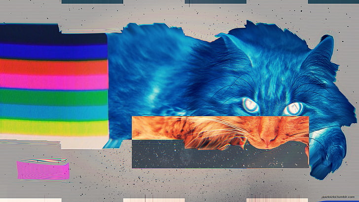 скриншот иллюстрации кошки, искусство сбоя, кот, ЛСД, аннотация, HD обои