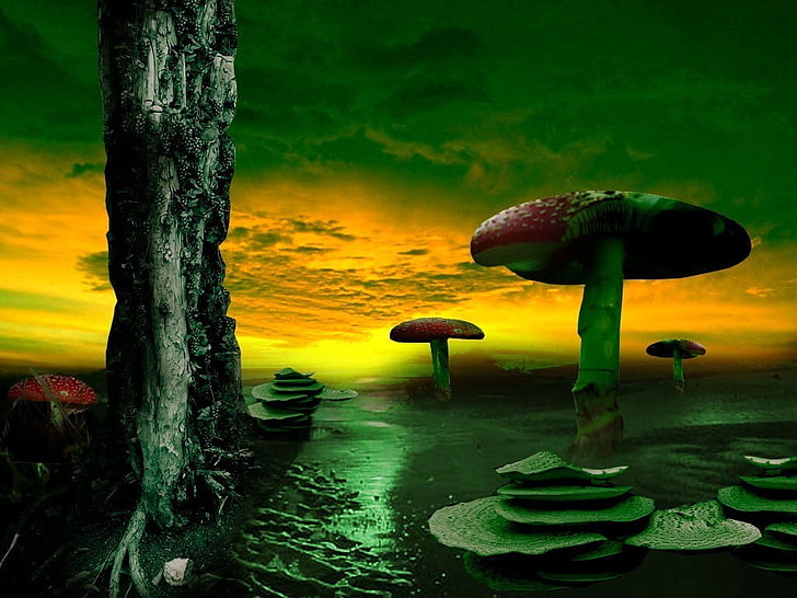 papier peint champignon rouge et gris, paysage, nature, art numérique, oeuvre d'art, art fantastique, champignon, Fond d'écran HD