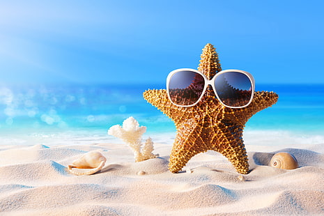  sand, sea, beach, summer, star, vacation, glasses, shell, starfish, sunglasses, seashells, HD wallpaper HD wallpaper
