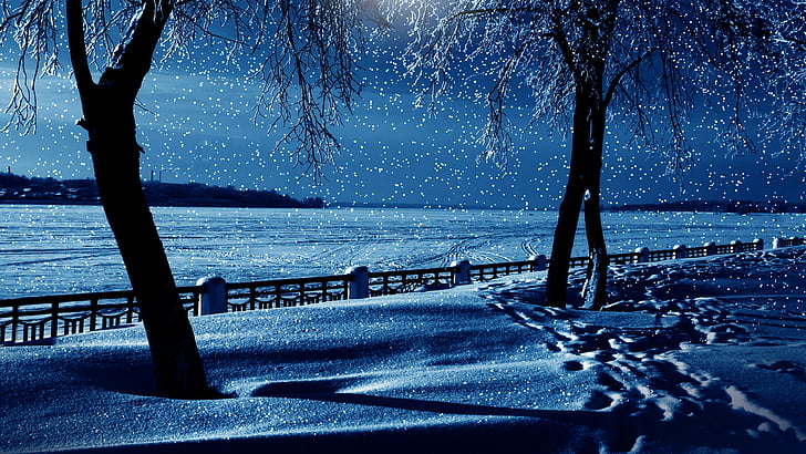 neve, natura, congelamento, cielo, inverno, albero, recinto, nevoso, blu, notte, sera, oscurità, ramo, nevicata, nevica, Sfondo HD