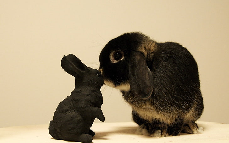 czarny królik i figurka ceramiczna, królik, biały, czarny, pręgowany, niemowlę, Tapety HD