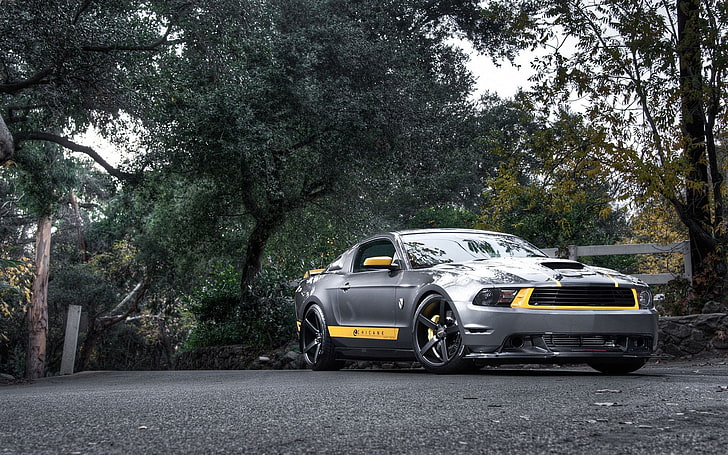 grauer Shelby GT500, Auto, Ford Mustang, Shelby Cobra, Muscle Cars, HD-Hintergrundbild