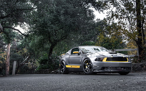 Shelby GT500 gris, voiture, Ford Mustang, Shelby Cobra, muscle cars, Fond d'écran HD HD wallpaper